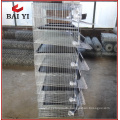 Metal quail farm cage with water system